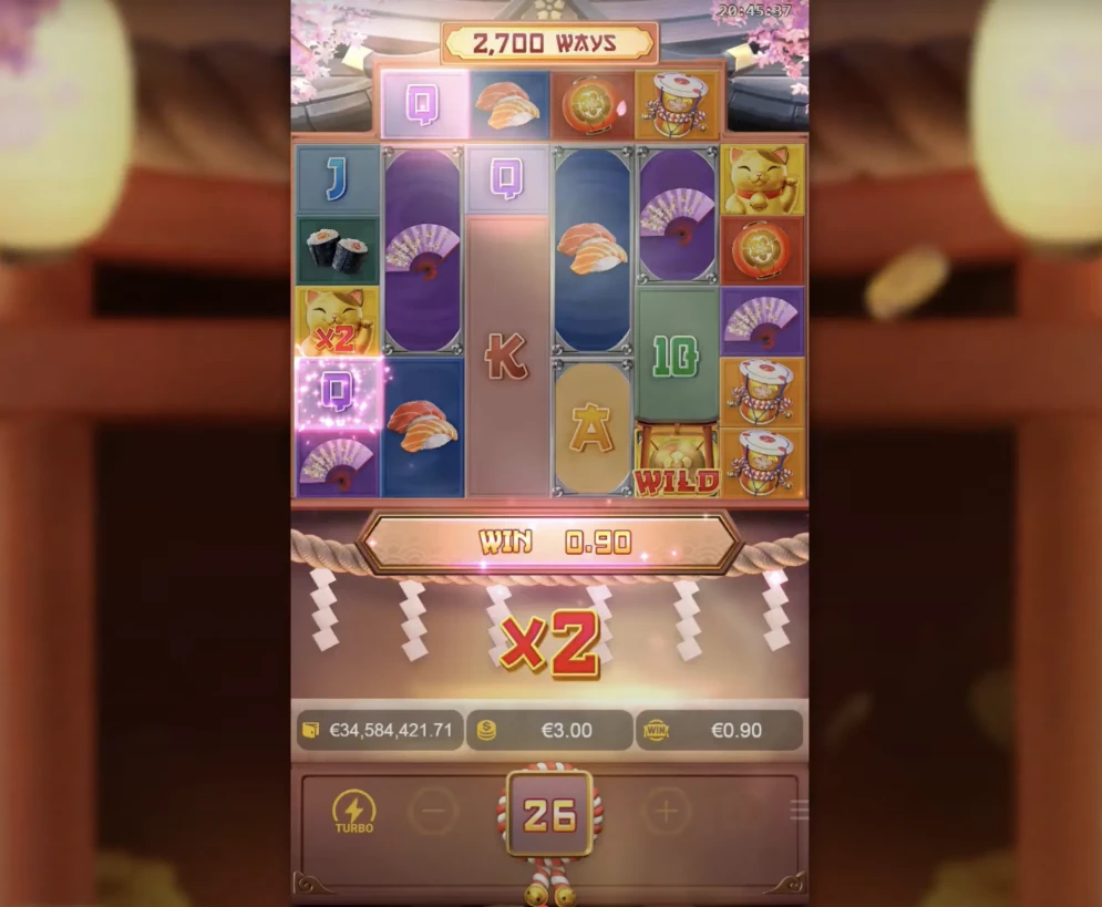 Lucky Neko